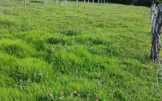 👉Lote de 2.000 m2 en Cucunuba👈