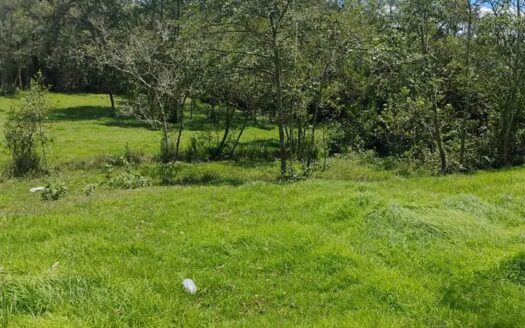 👉 Finca productiva con buenos recursos hidricos 👈