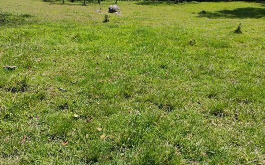 👉 Finca productiva con buenos recursos hidricos 👈