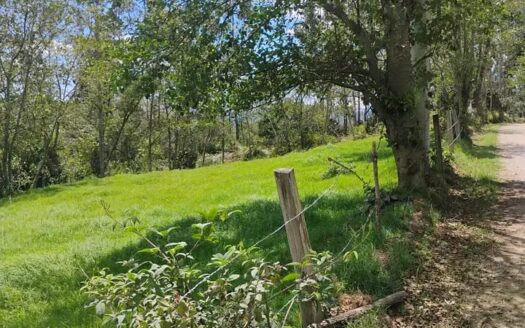 👉 Finca productiva con buenos recursos hidricos 👈