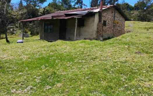 👉 Finca productiva con buenos recursos hidricos 👈
