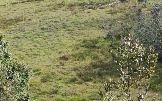 👉Finca con vista a la Laguna de Fuquene👈