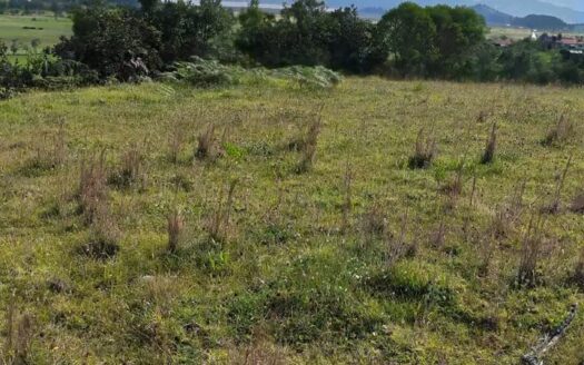 👉Finca con vista a la Laguna de Fuquene👈