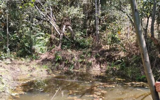 👉Finca  en vereda torres Raquira👈