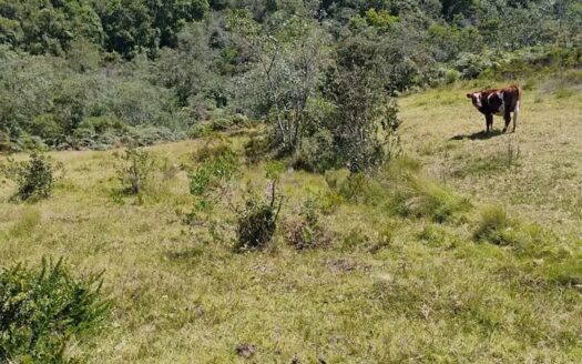 👉Finca  en vereda torres Raquira👈