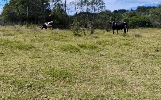 👉Finca  en vereda torres Raquira👈