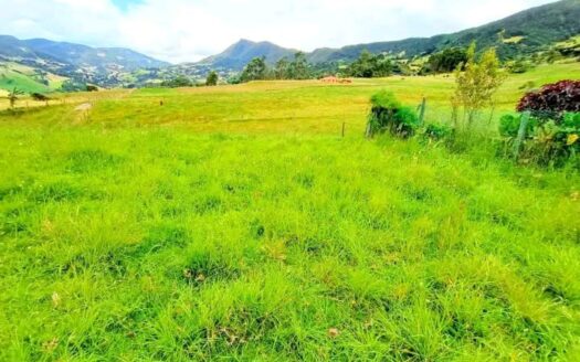 👉Finca de 6 fg productivas en Carupa👈