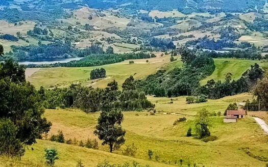 👉Finca de 6 fg productivas en Carupa👈