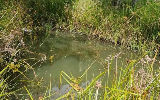 👉Finca en Simijaca👈