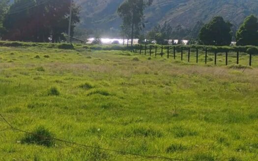 👉Lote esquinero de 5.000 m2 en Cucunuba👈