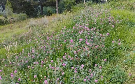 👉Finca a 3 minutos de Guacheta👈