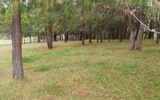 👉Hermosa finca productiva en Simijaca👈