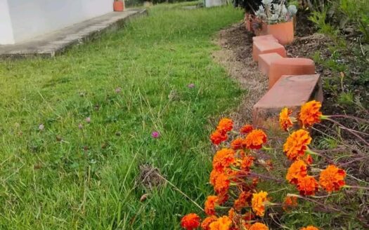 👉Hermosa finca productiva en Simijaca👈