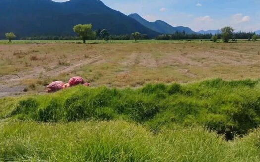 👉Finca plana 6 fanegadas en Guacheta👈