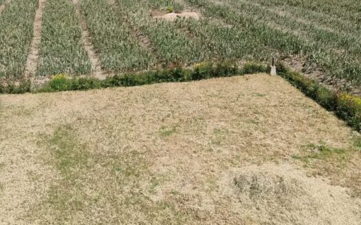 👉Finca plana 6 fanegadas en Guacheta👈