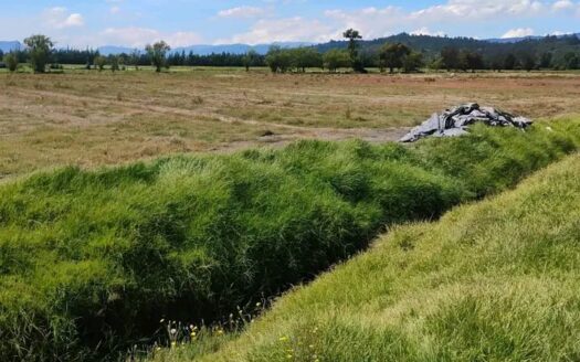 👉Finca plana 6 fanegadas en Guacheta👈
