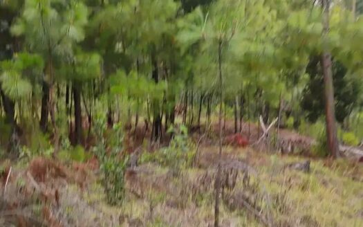 👉Finca de 7.2 fanegadas en Sutatausa👈