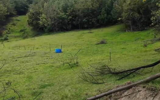 👉Finca de 7.2 fanegadas en Sutatausa👈