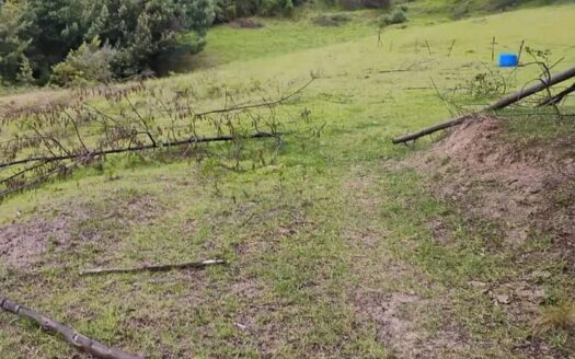 👉Finca de 7.2 fanegadas en Sutatausa👈