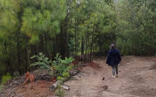👉Finca de 7.2 fanegadas en Sutatausa👈