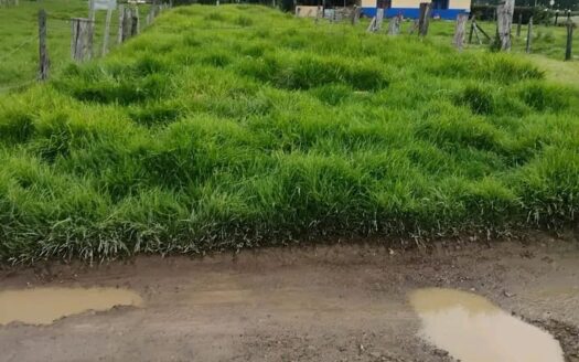 👉Económica casa barrio San José Ubaté👈