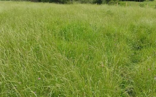 👉Finca 2 fanegadas con cauce de agua Guachetá👈