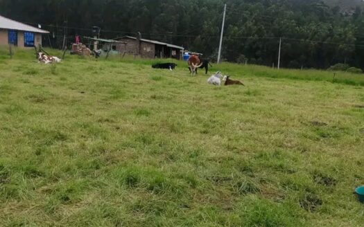 👉Finca 2 fanegadas con cauce de agua Guachetá👈