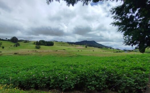 👉🏼 Oferta, finca, con nacedero a  10 min de Tausa👈🏻