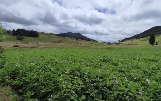 👉🏼 Oferta, finca, con nacedero a  10 min de Tausa👈🏻